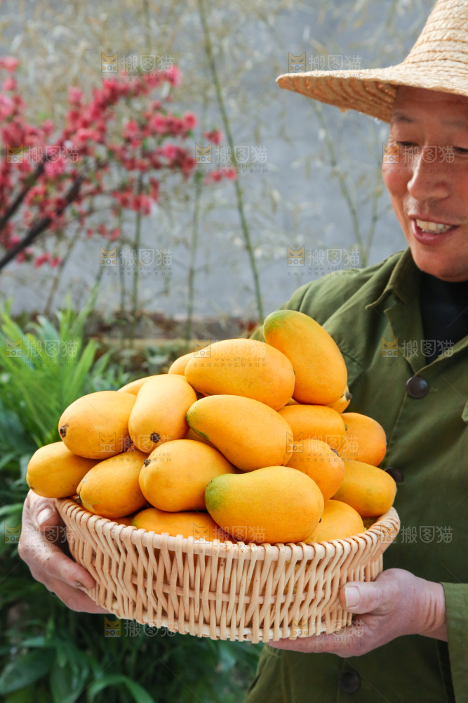 小台芒