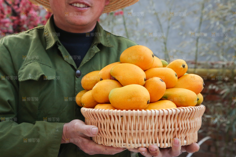 小台芒