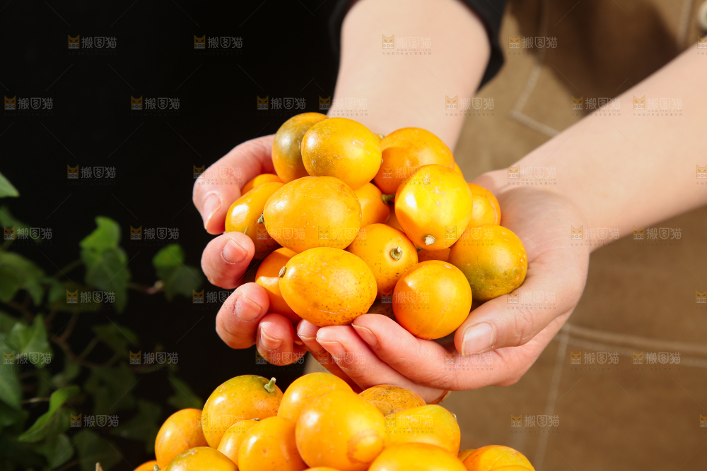 脆皮金桔