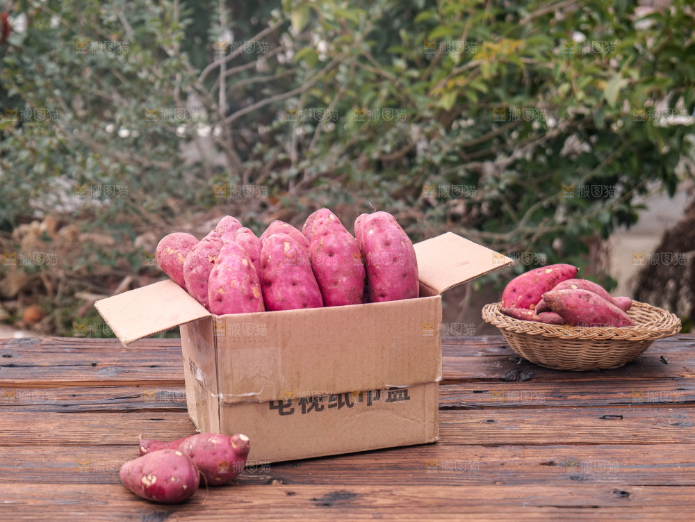 小香薯