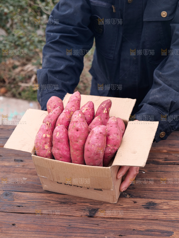 小香薯