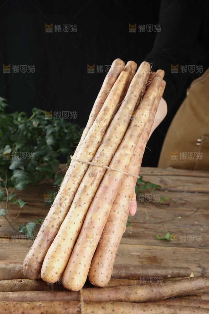 铁棍山药