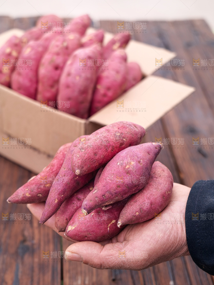小香薯