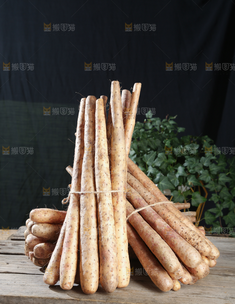 铁棍山药