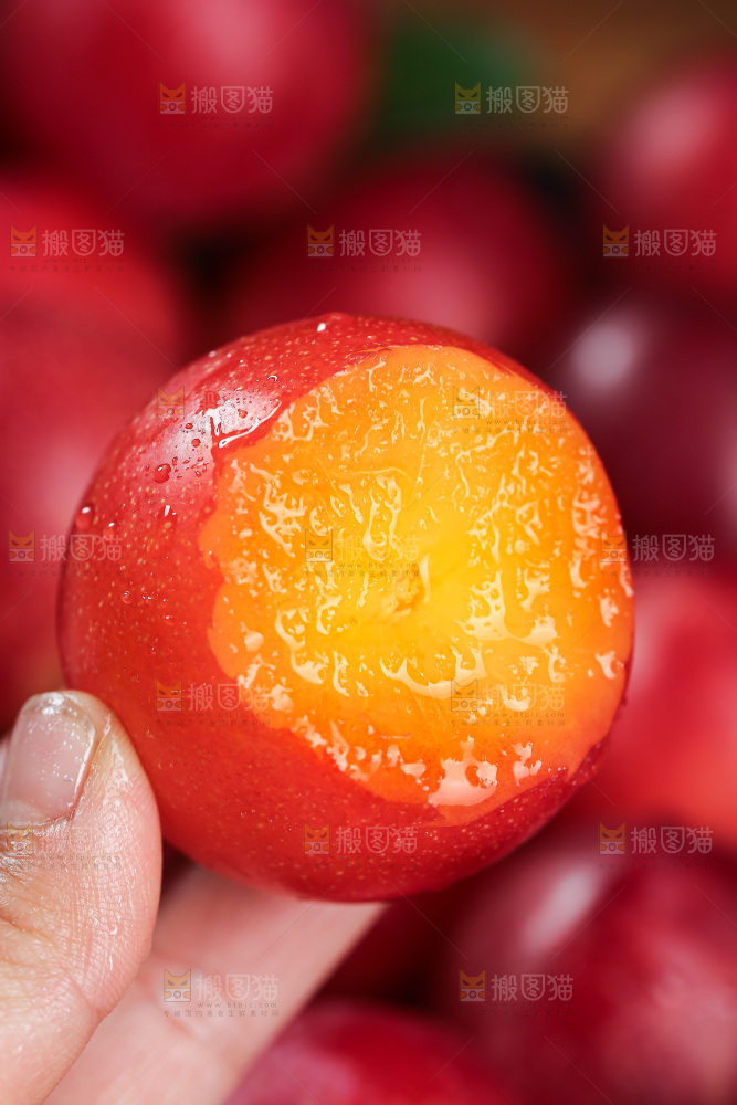 樱桃李