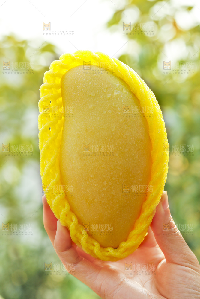 玉芒