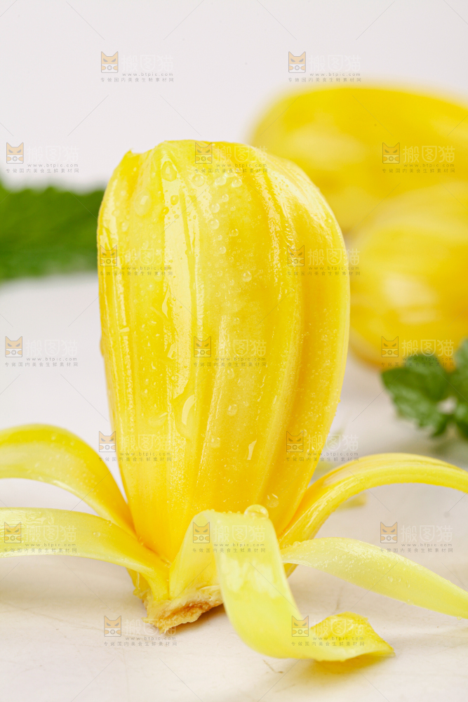 菠萝蜜