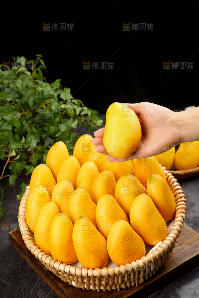 小台芒