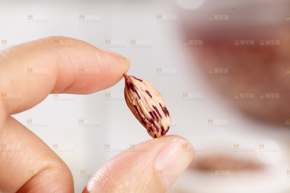 七彩瘪花生