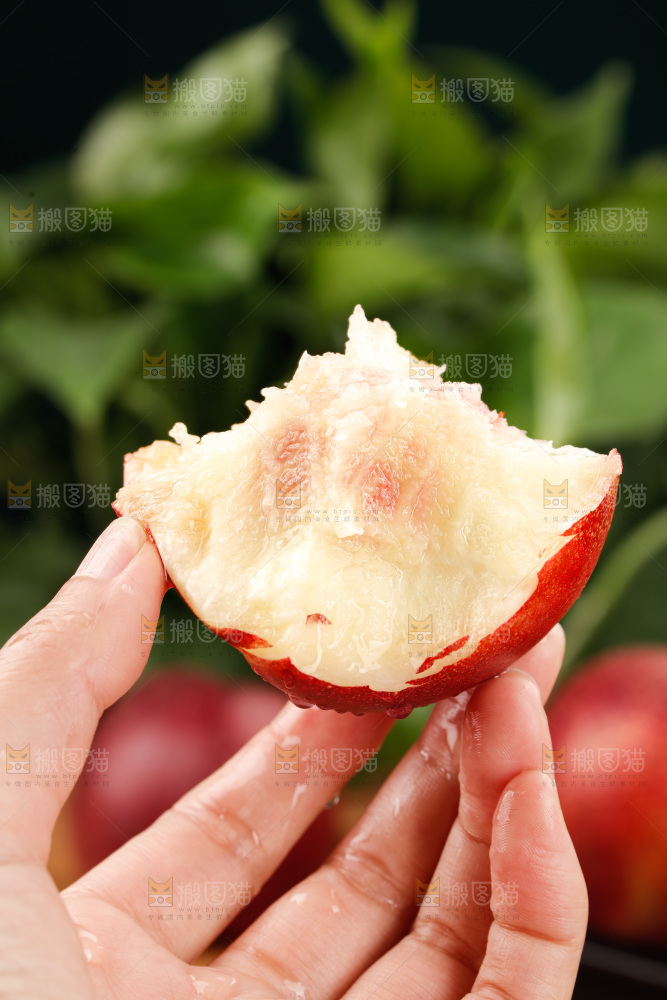 澳洲油桃