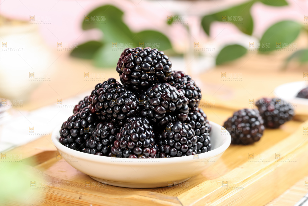 黑莓