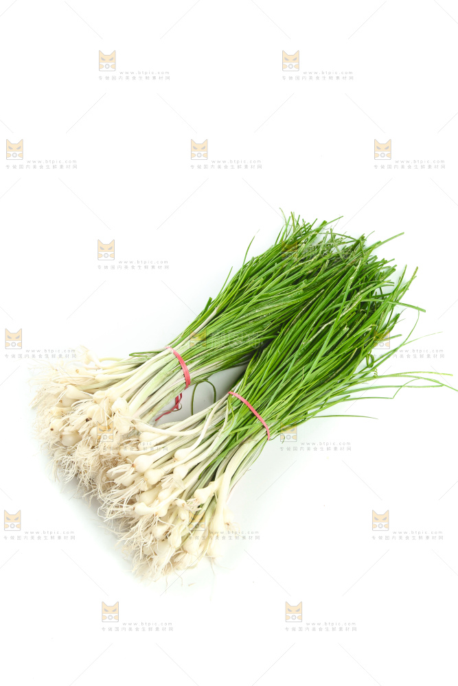 野葱