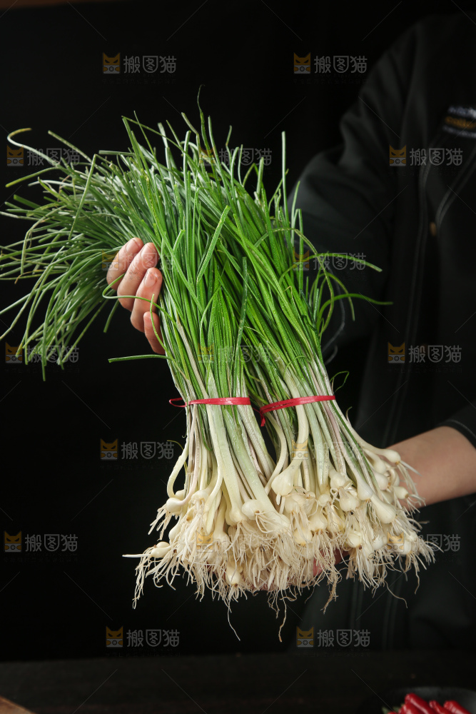 野葱