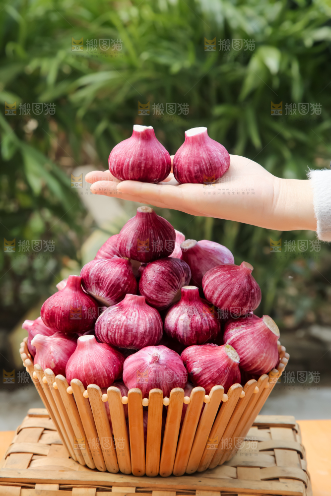 紫皮大蒜