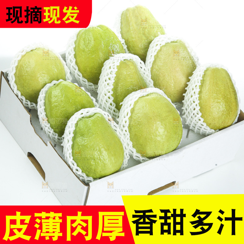 礼盒里装着红心芭乐