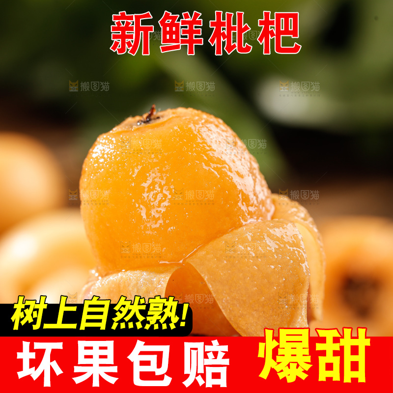 米易枇杷