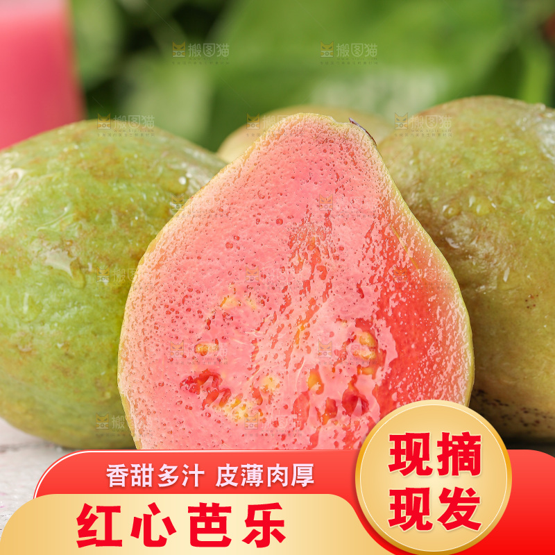 软心红芭乐