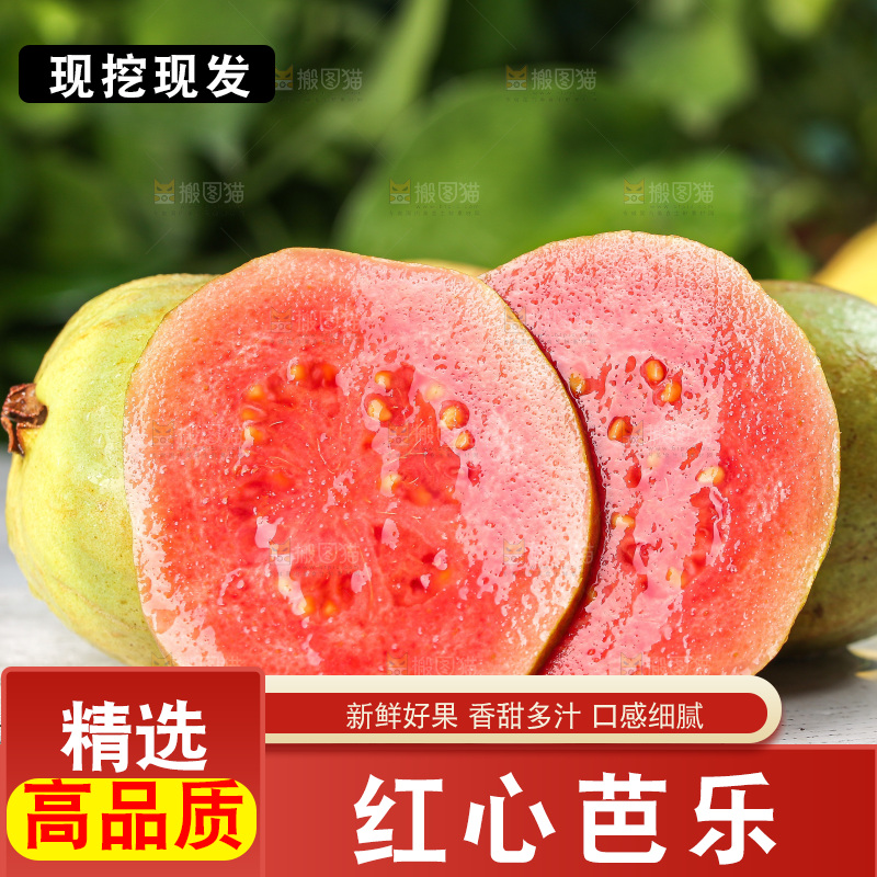 红心芭乐