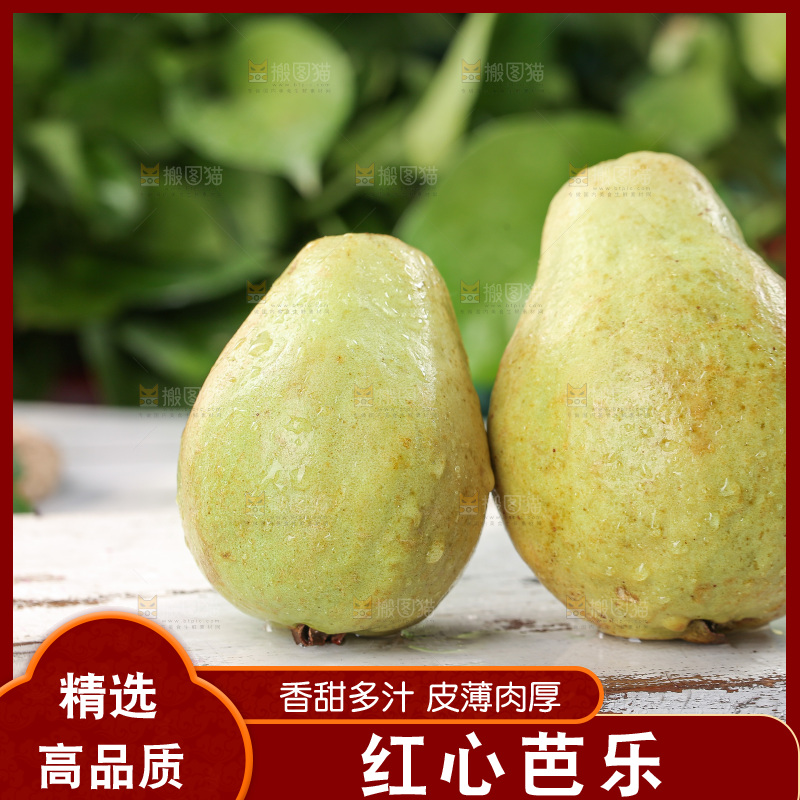 软心红芭乐