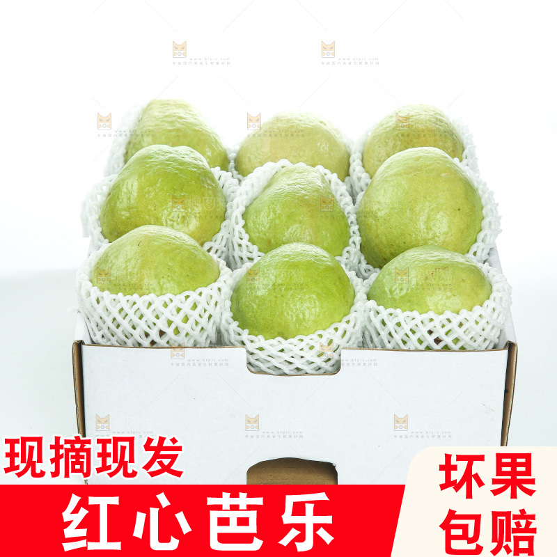 礼盒里装着红心芭乐