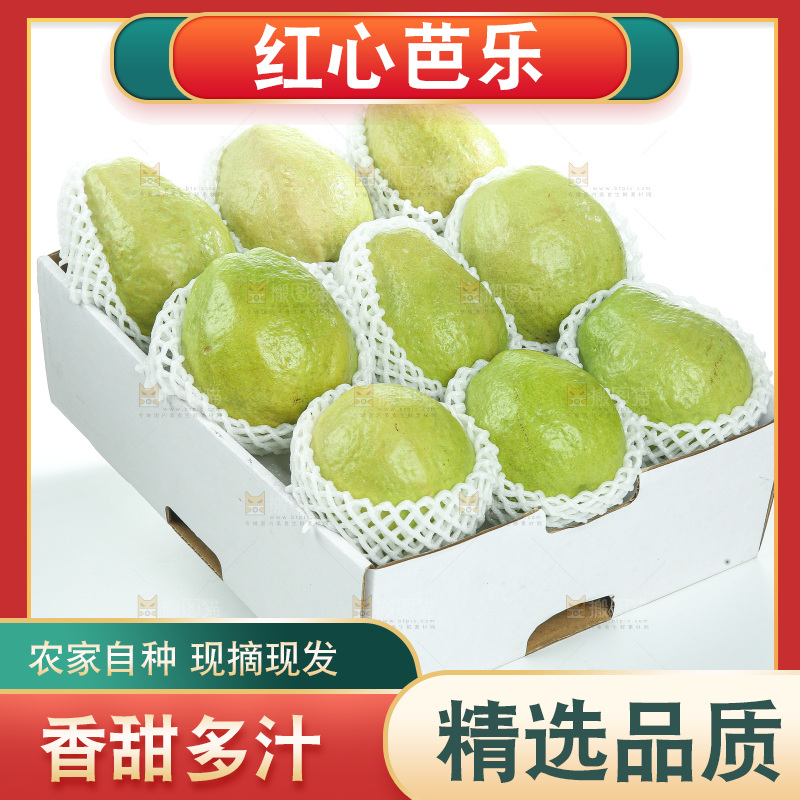 礼盒里装着红心芭乐