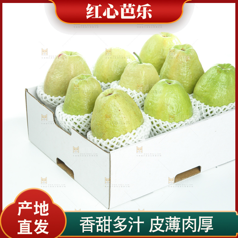 礼盒里装着红心芭乐
