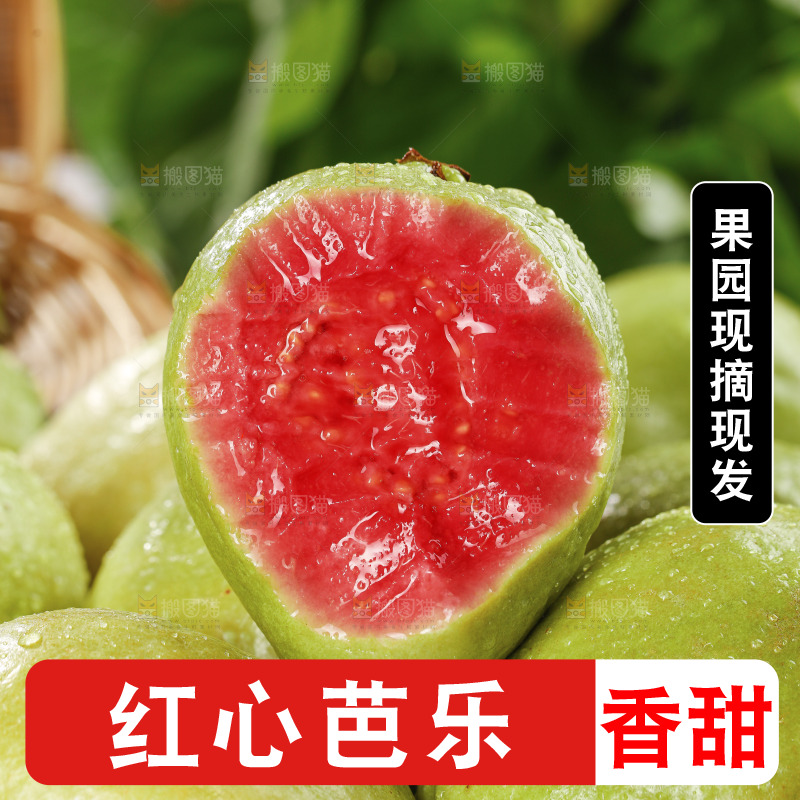 木底上的红心芭乐