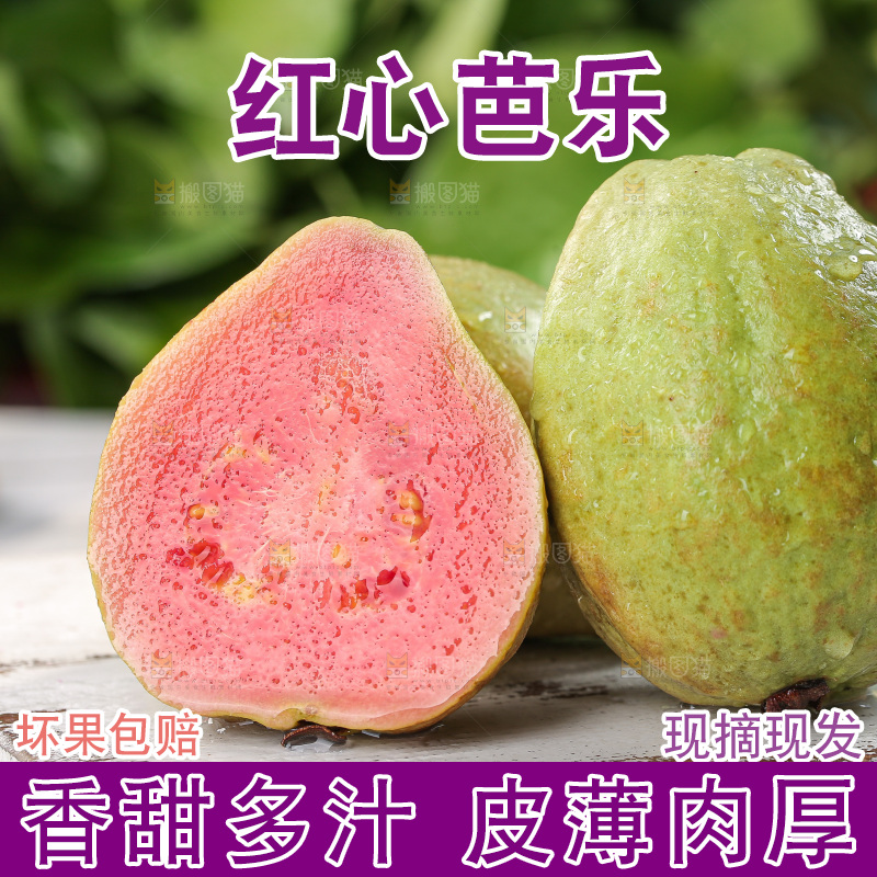 软心红芭乐