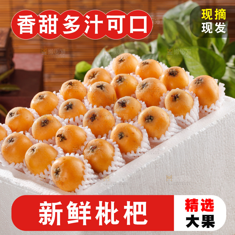 米易枇杷