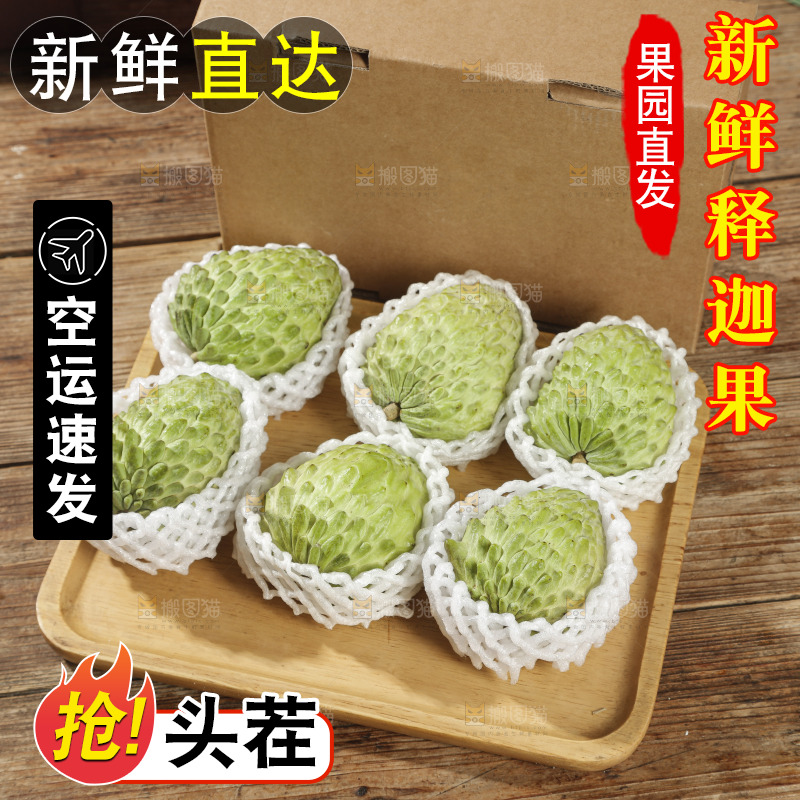 凤梨释迦果