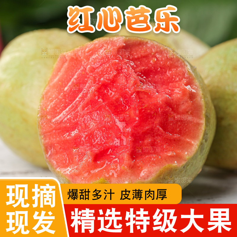 软心红芭乐