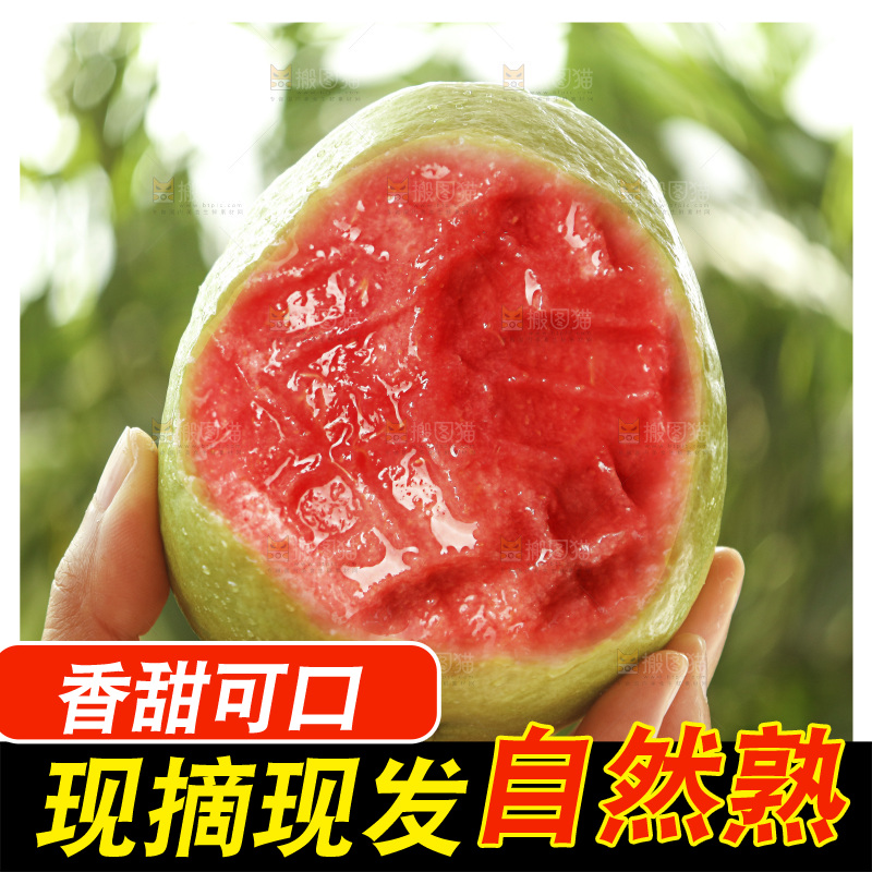 手里拿着红心芭乐