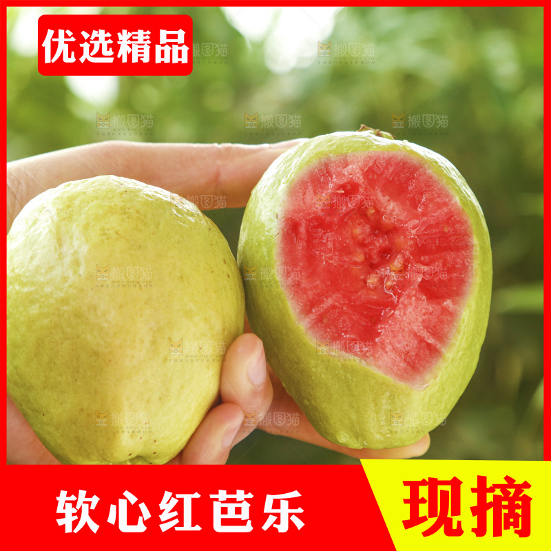 手里拿着红心芭乐