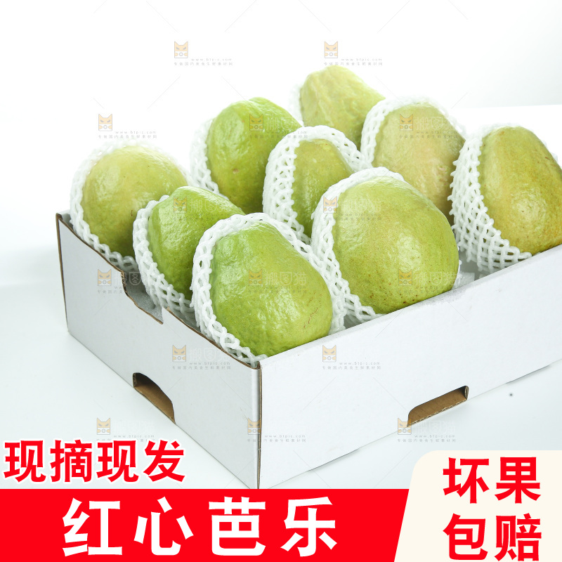 礼盒里装着红心芭乐