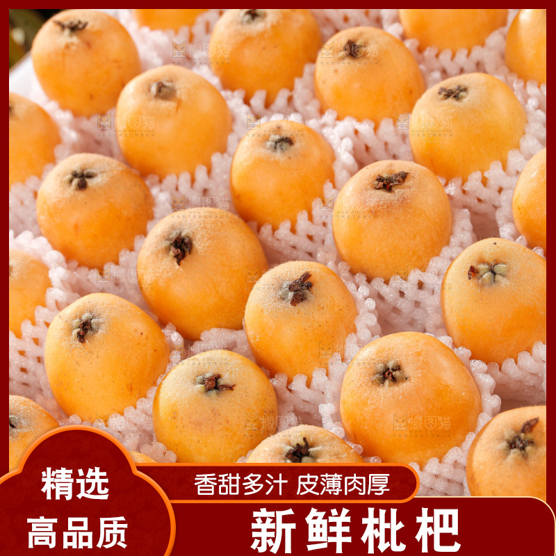 米易枇杷