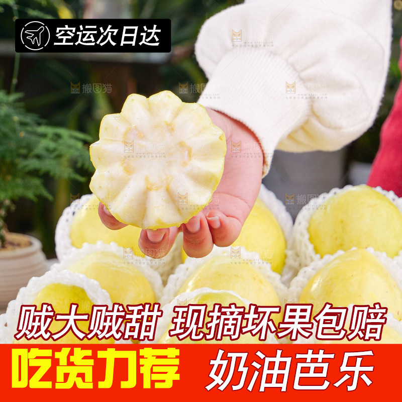 奶油芭乐