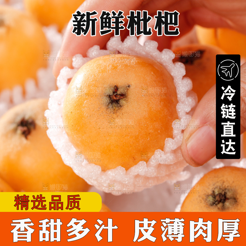 米易枇杷