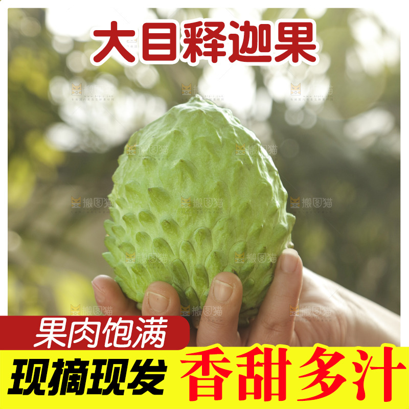 凤梨释迦果