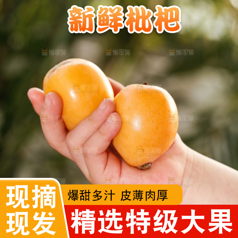 米易枇杷