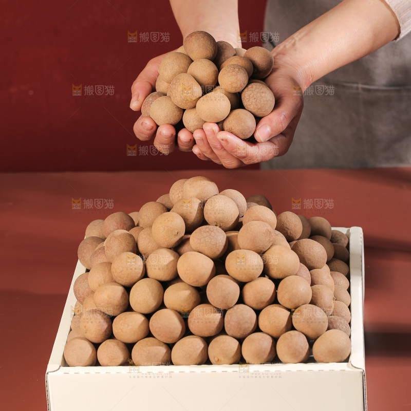 桂圆干