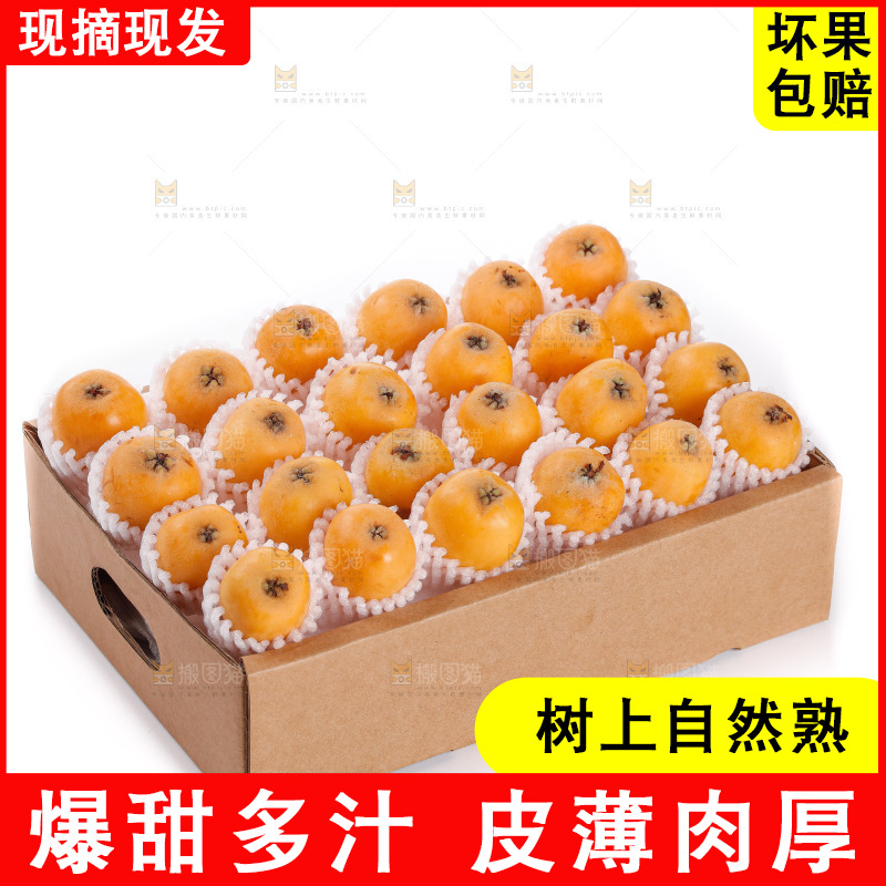 米易枇杷