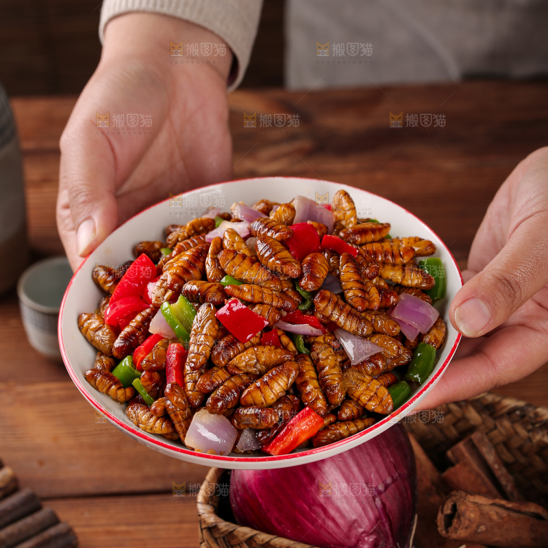金丝蚕蛹
