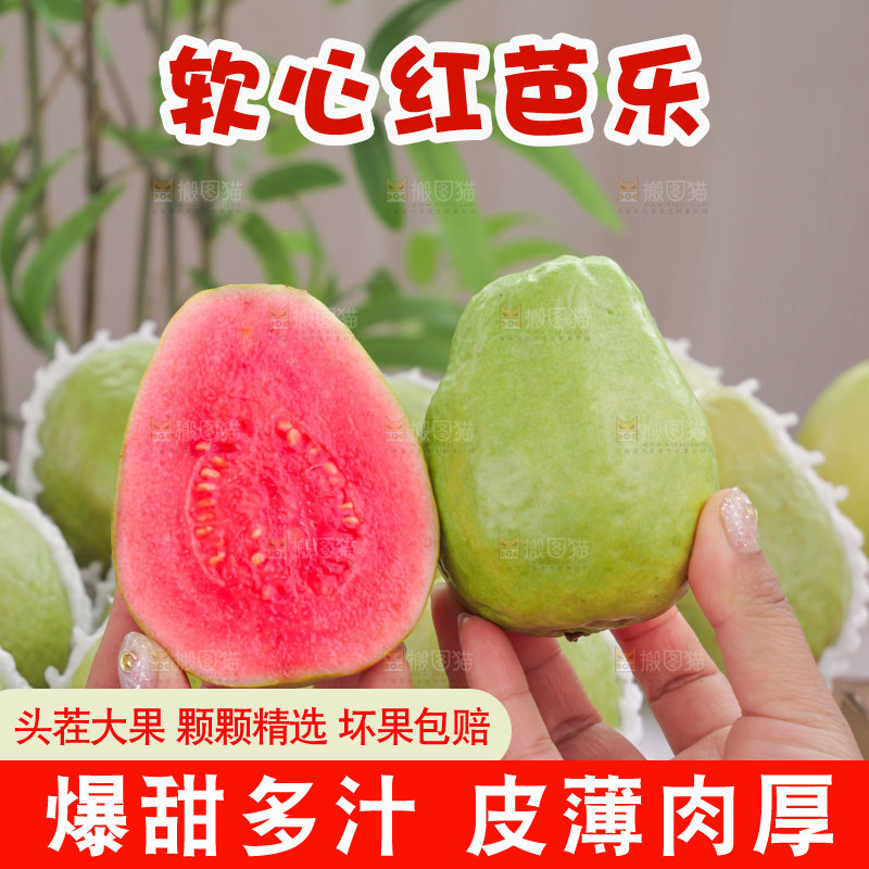 红心芭乐