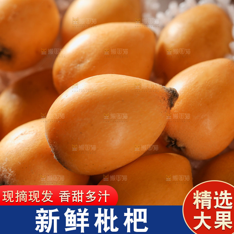 蒙自枇杷