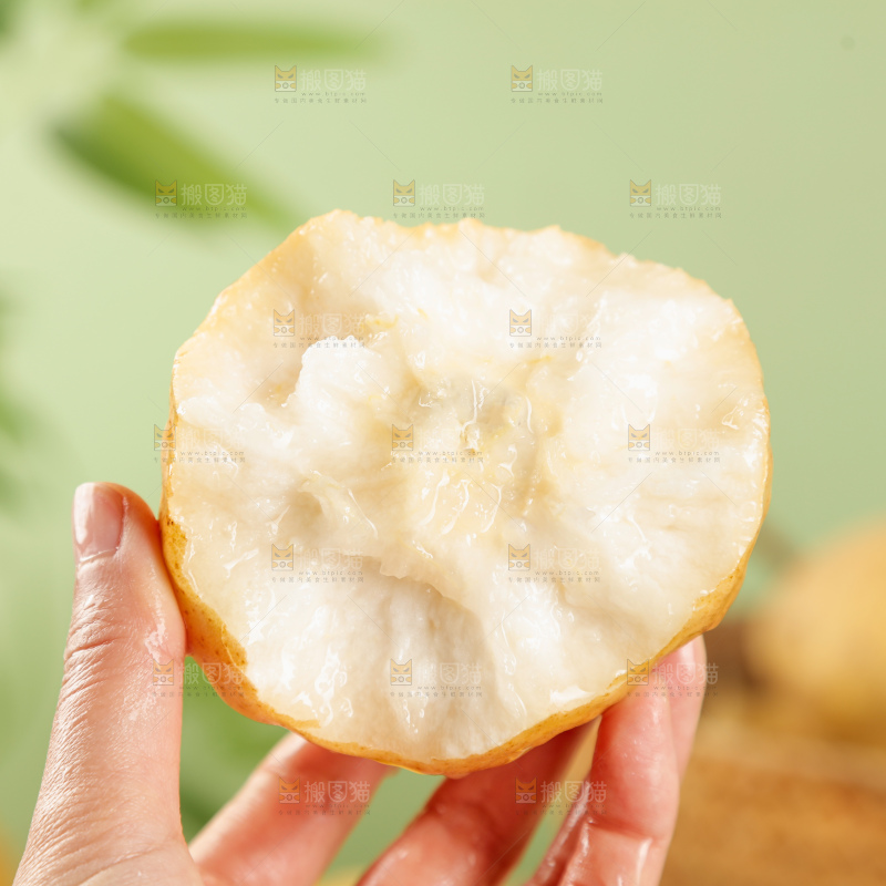浅底上的丑梨