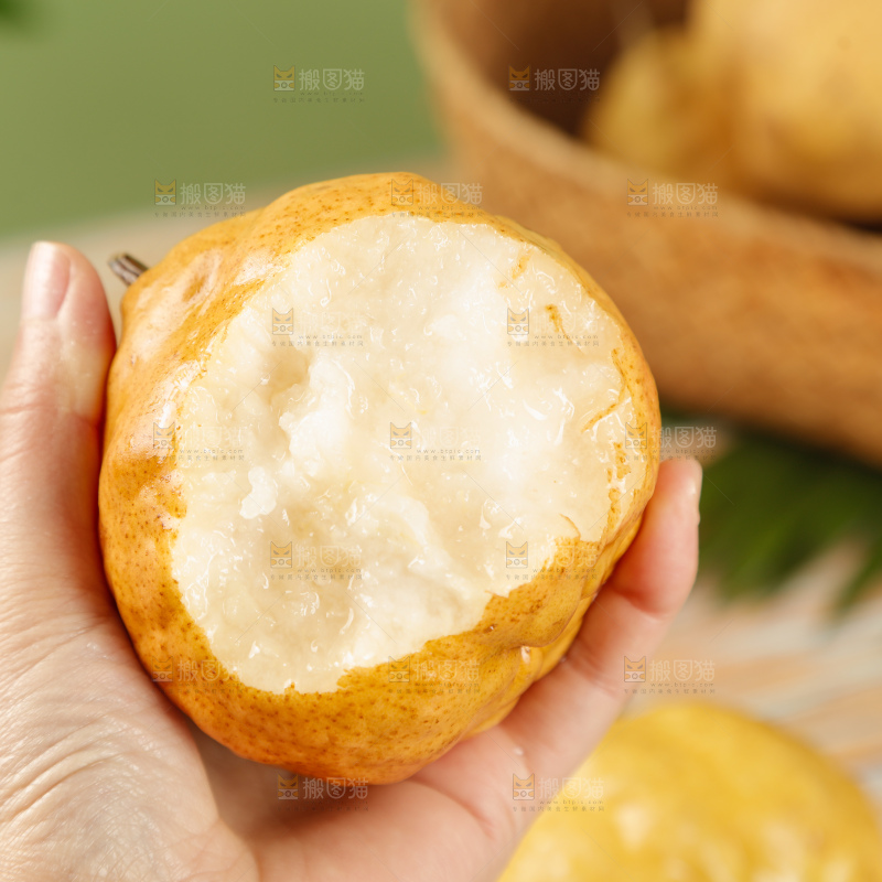 浅底上的丑梨