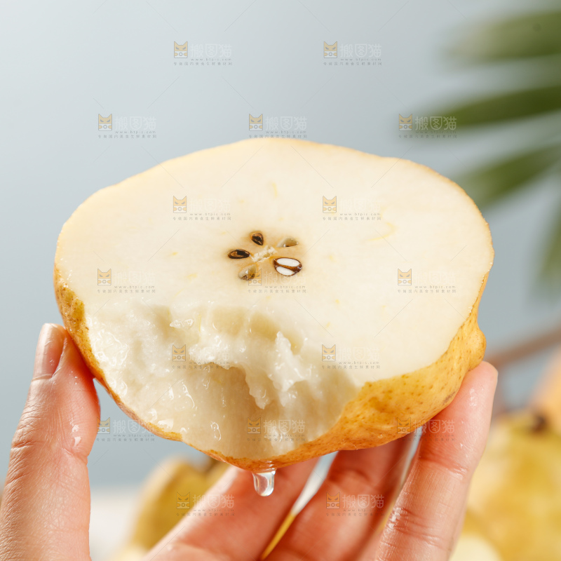 手里拿的丑梨