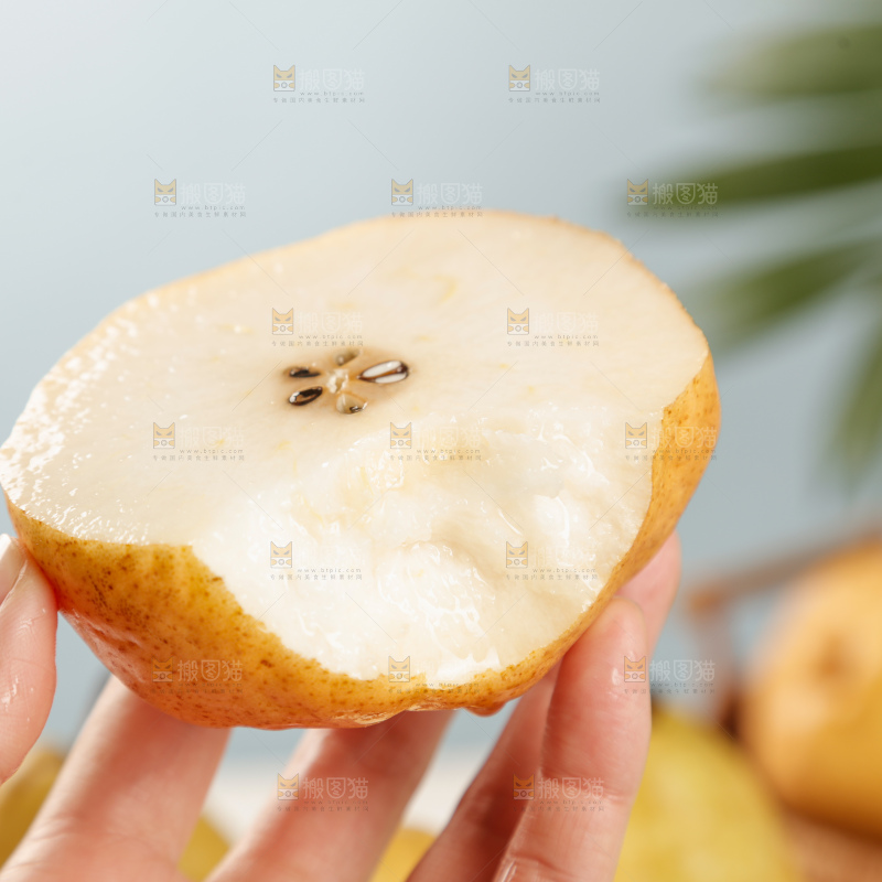 手里拿的丑梨