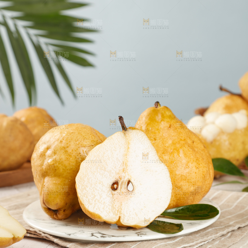 浅底上的丑梨