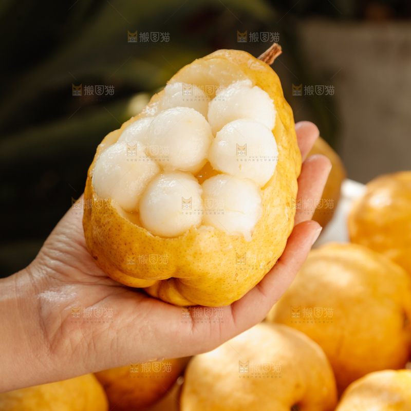 手里拿的丑梨